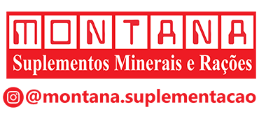 Montana Logo