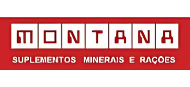 Logo Montana
