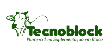 Tecnoblock Logo