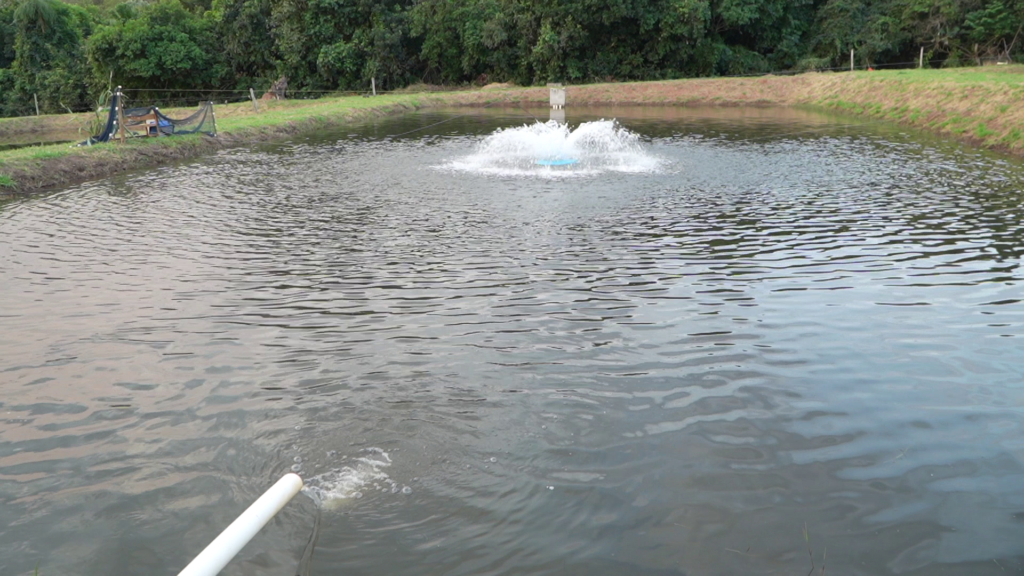 Centro de Produção de Peixes Nativos do Pantanal Sul