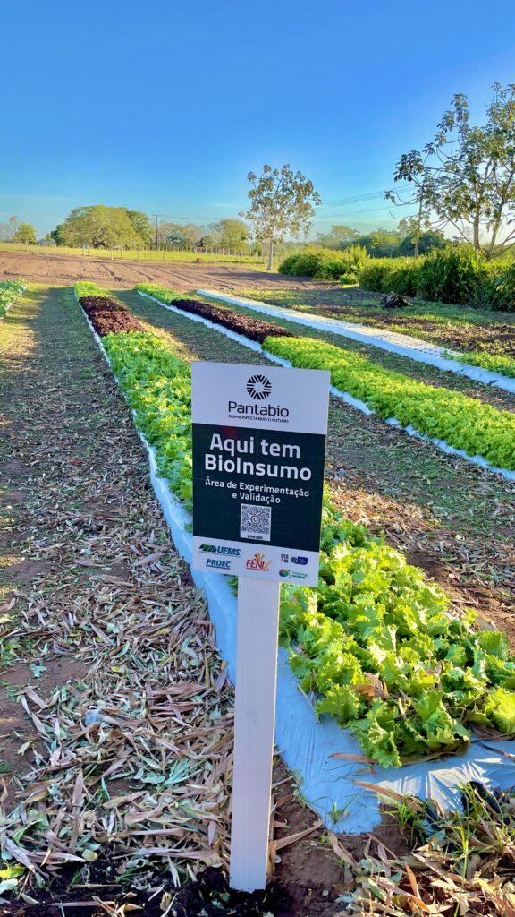 Conheça a  incubadora da UEMS que transforma ciência em soluções para o campo e a sociedade