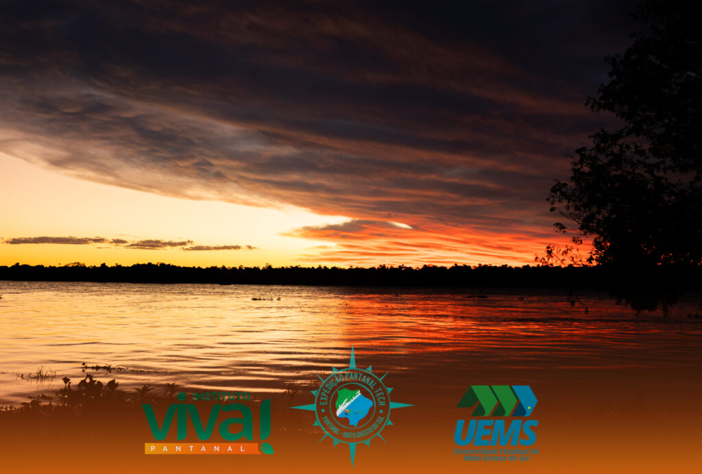 Expedição Pantanal Tech MS 2025: Uma Jornada de Inovação e Sustentabilidade